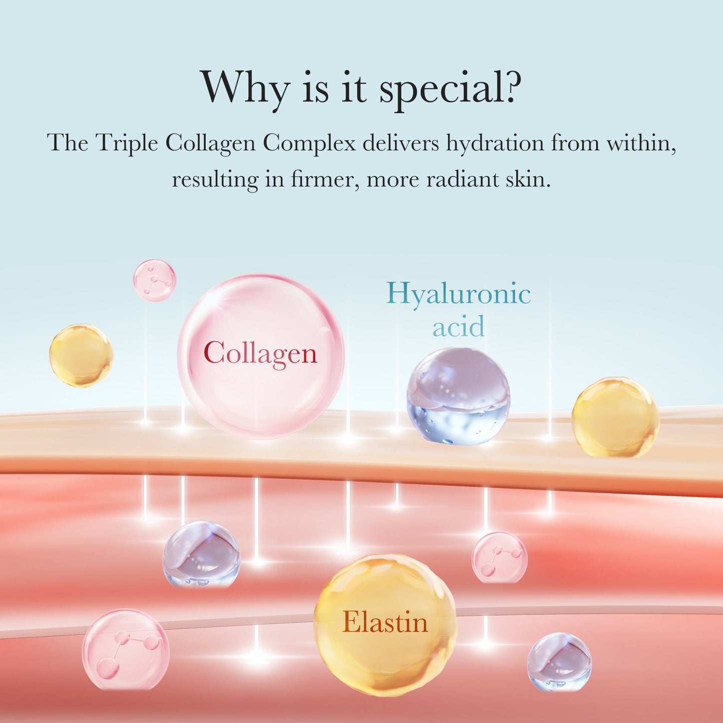 triple-collagen-cream-k4 04_8e4e330d-7d9c-4ff0-93ec-ea541093220c.jpg