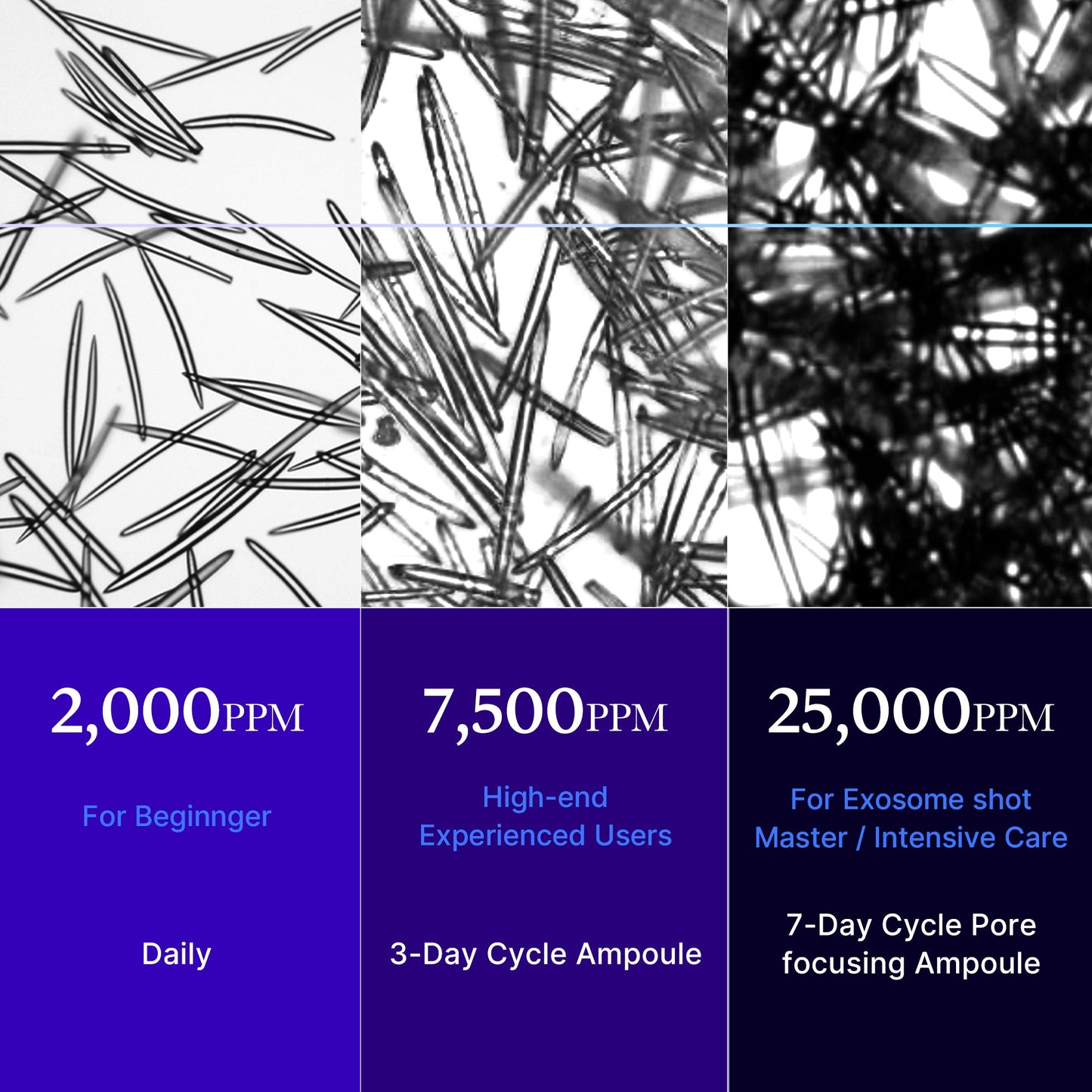 zero-exosome-shot-e4 25000_05.jpg