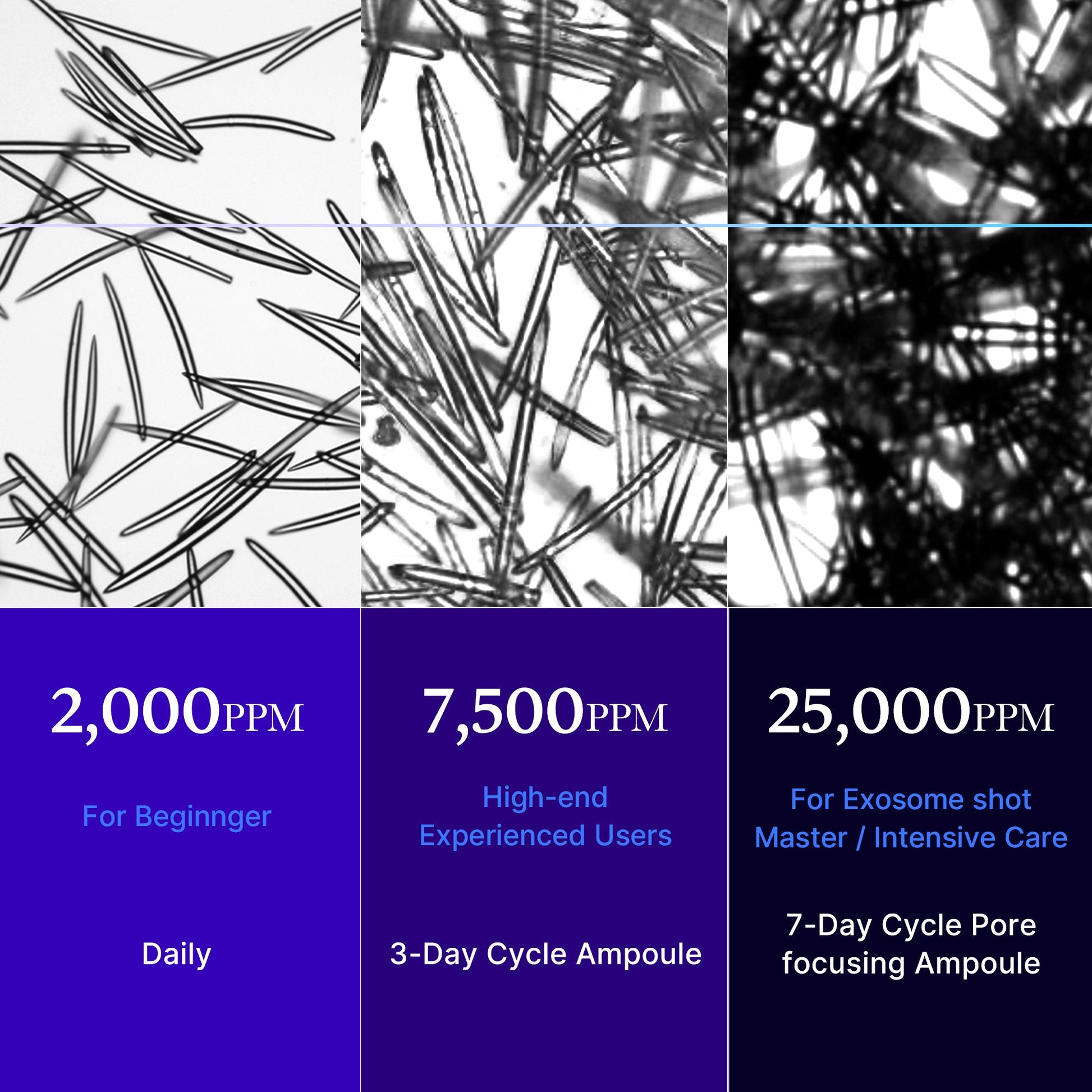 zero-exosome-shot-e4 25000_05.jpg
